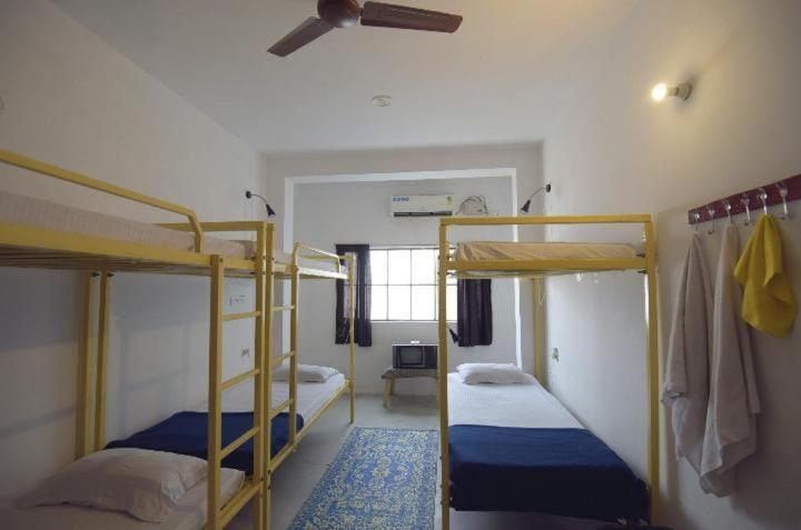 Eco Family Hostel Jaipur Exterior photo