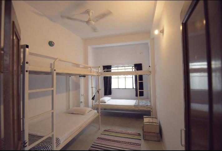 Eco Family Hostel Jaipur Exterior photo
