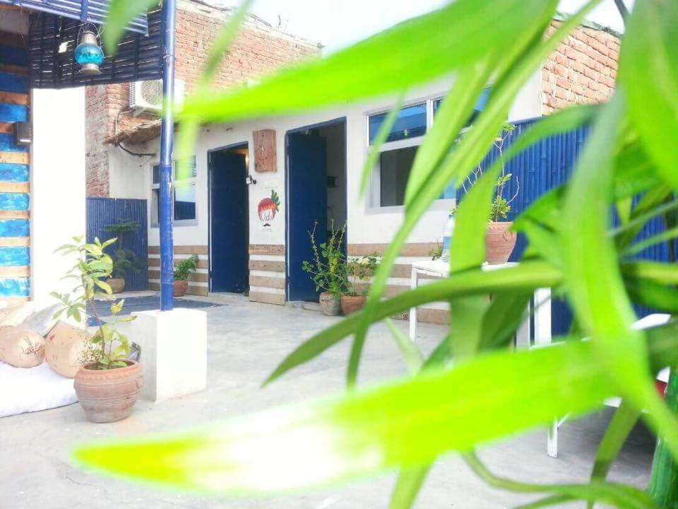 Eco Family Hostel Jaipur Exterior photo